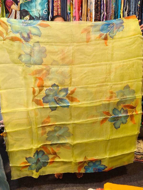 Pure Organza Hand Painted Saree